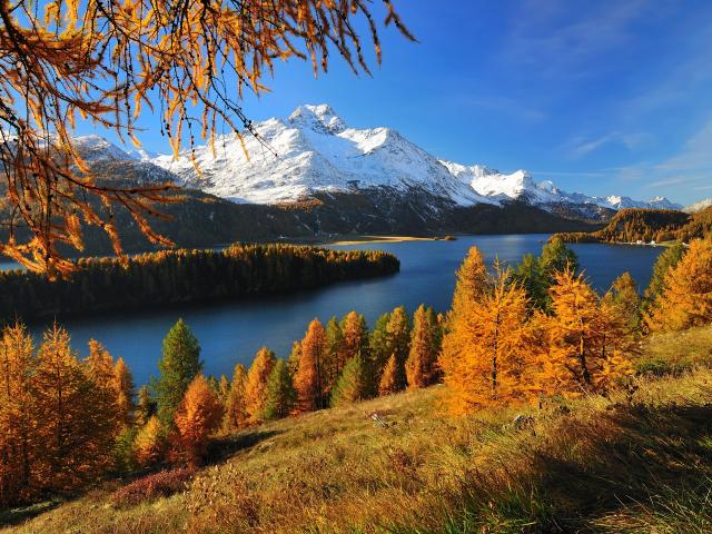 Product Data Display